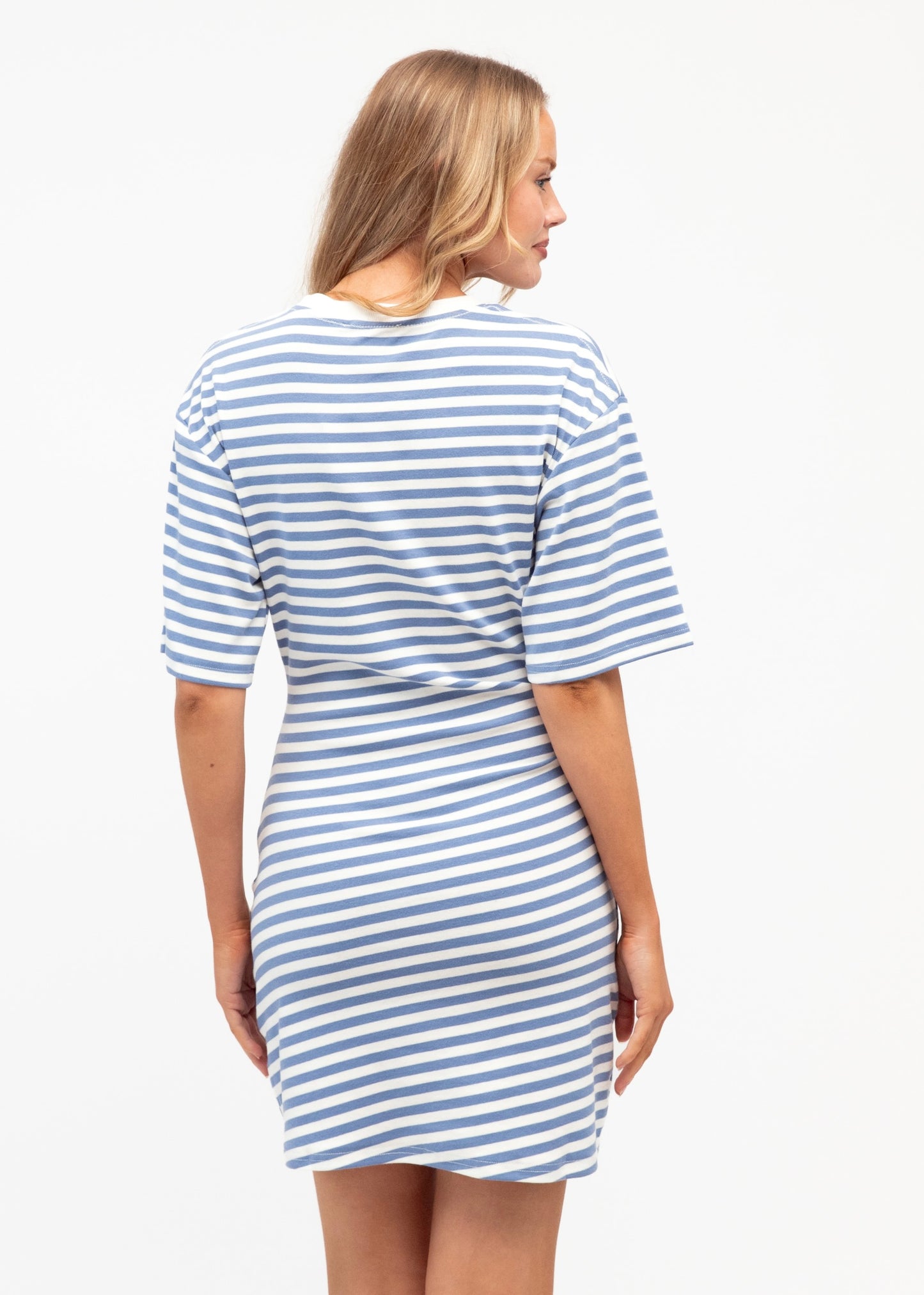 Tamarama Dress - Blue White Stripe