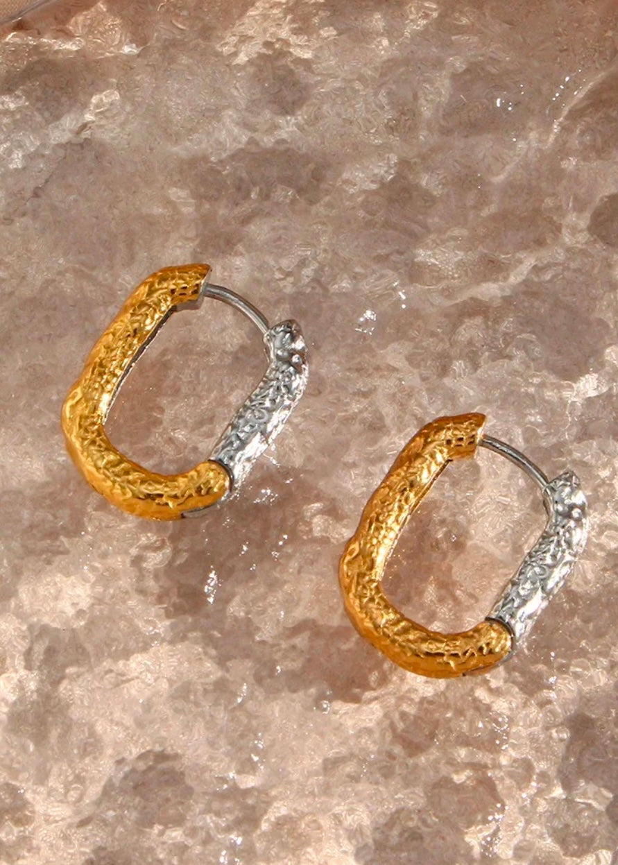Loop Gold Silver Earring