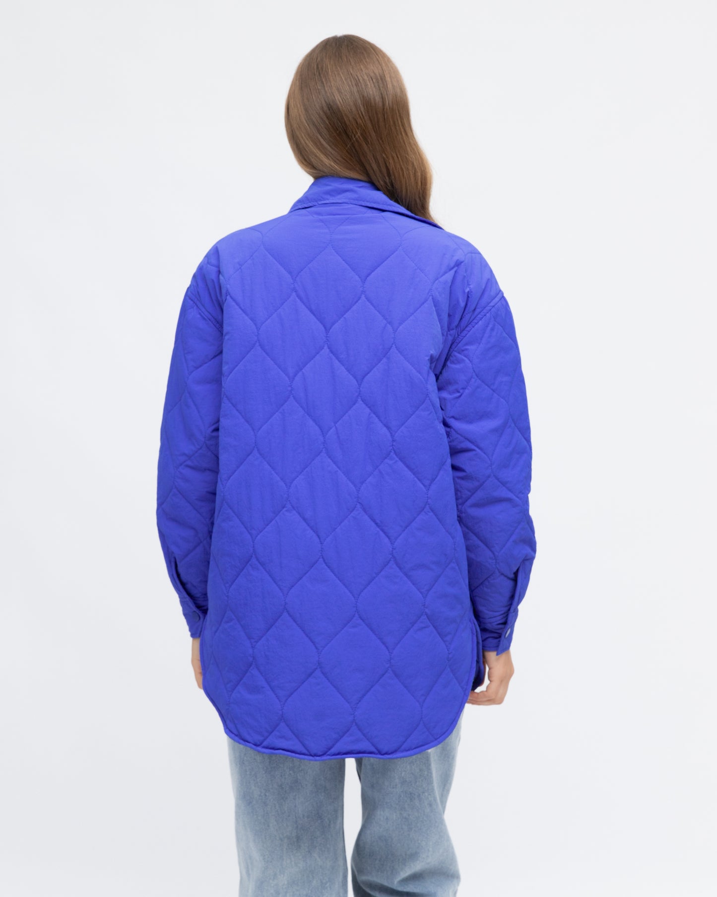 Blue Puffer