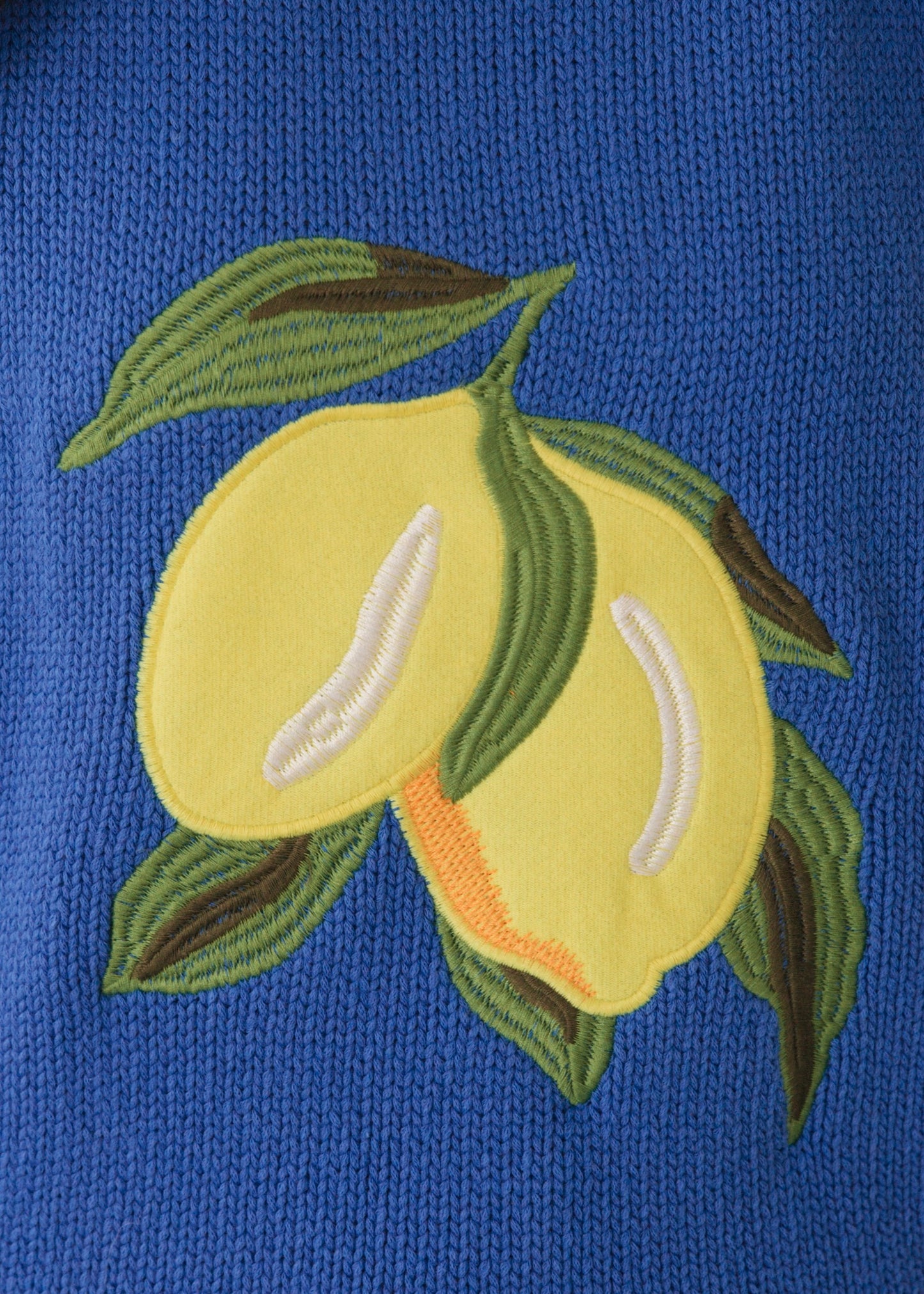 Lemons Embroidered Top | Blue