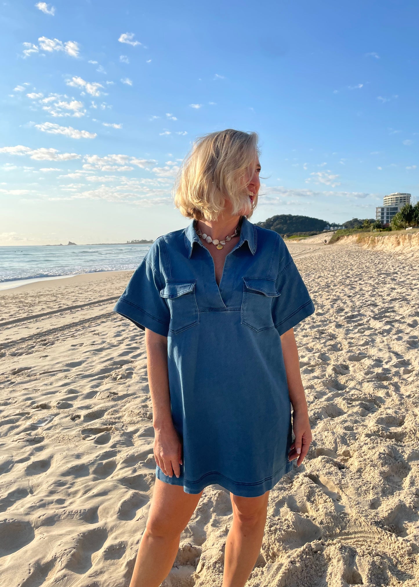Classic Denim Dress