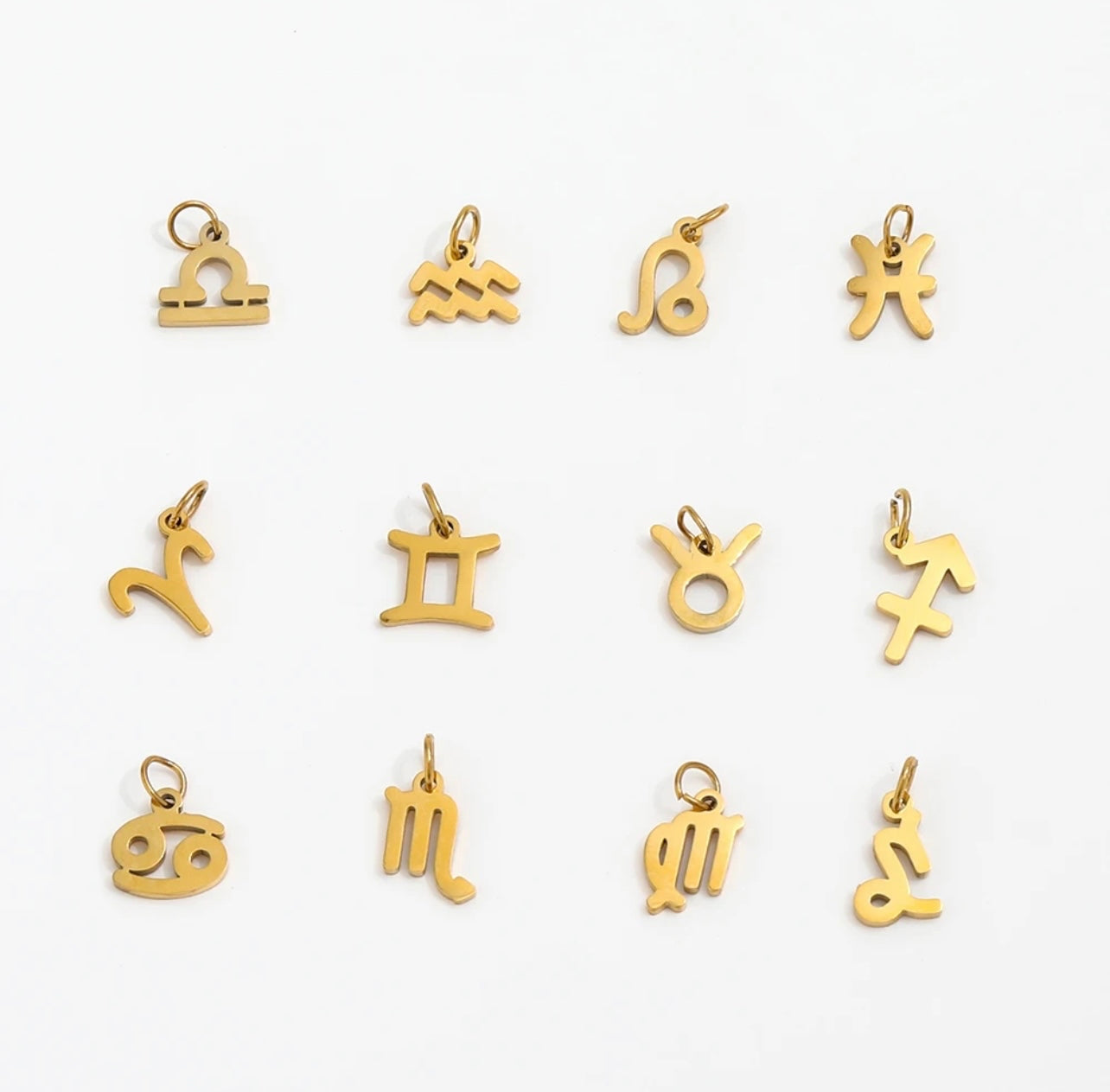 Zodiac Charm Earring Necklace