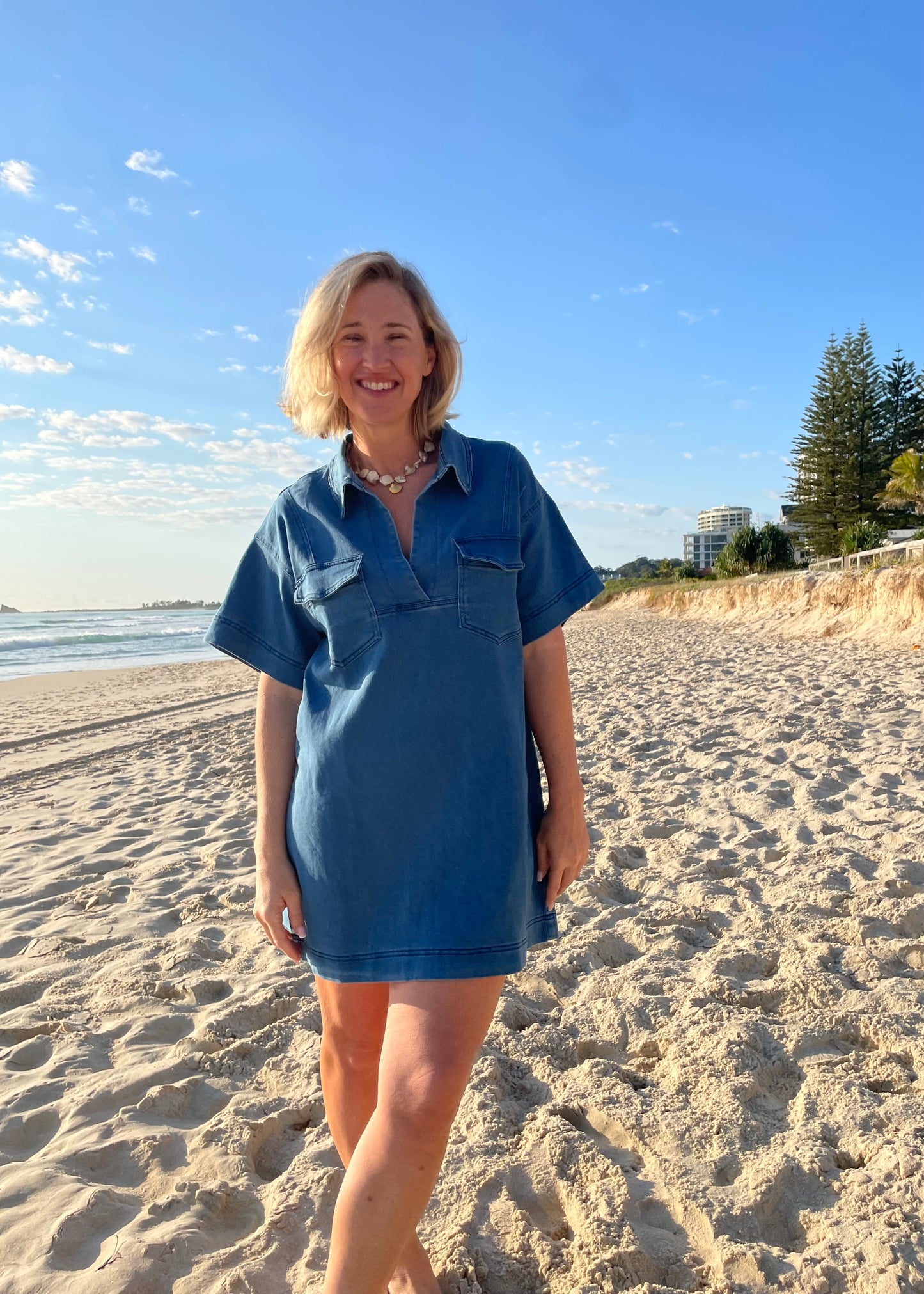 Classic Denim Dress