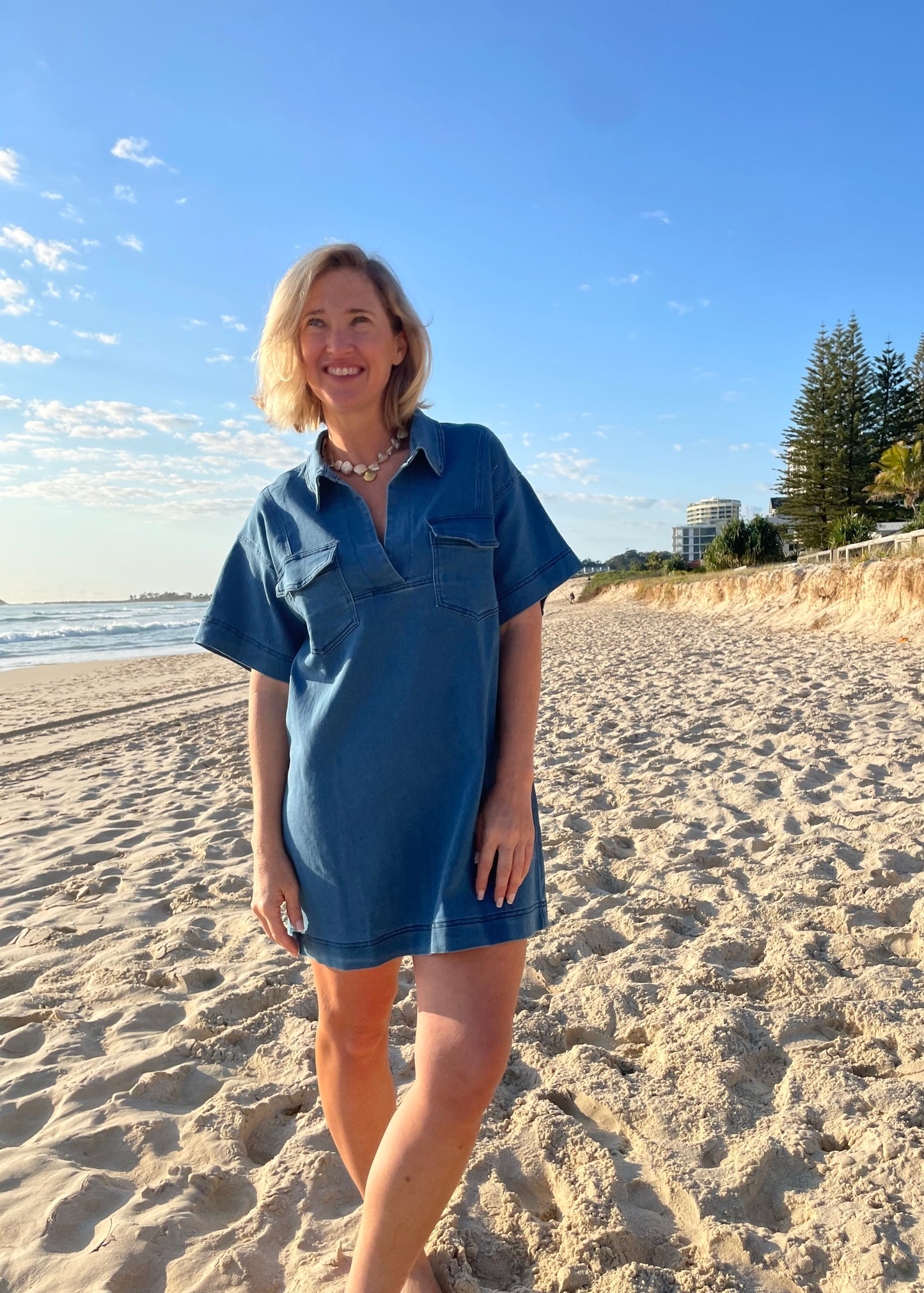 Classic Denim Dress
