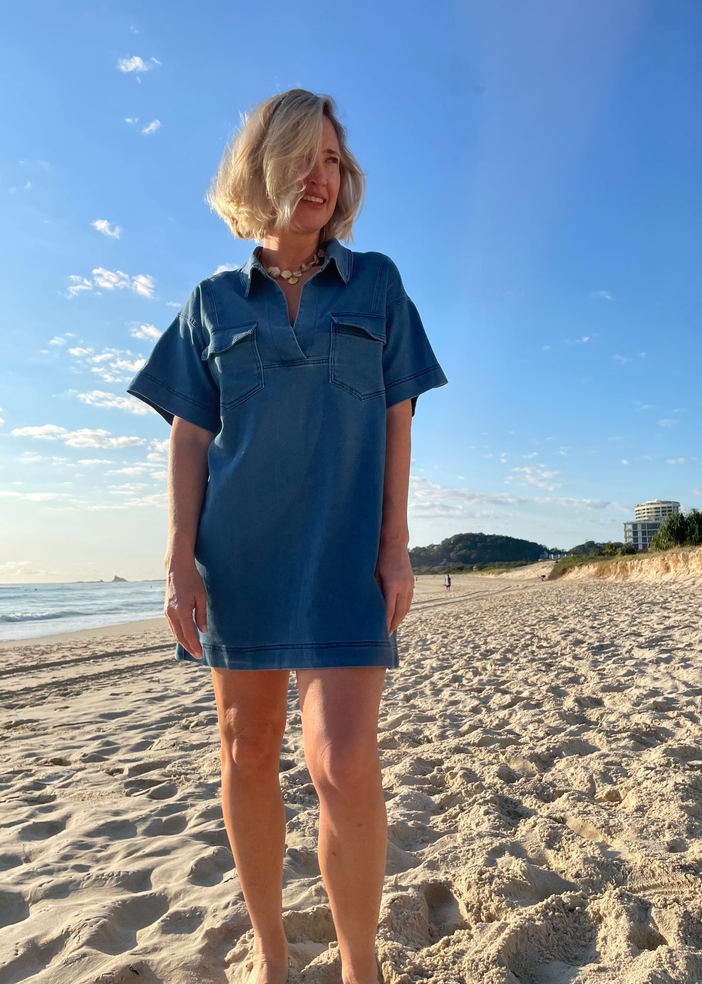 Classic Denim Dress