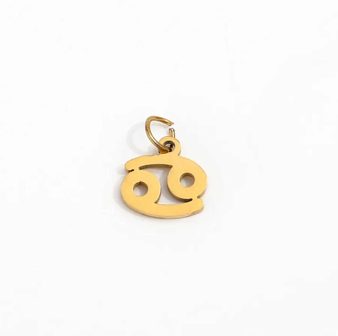Zodiac Charm Earring Necklace